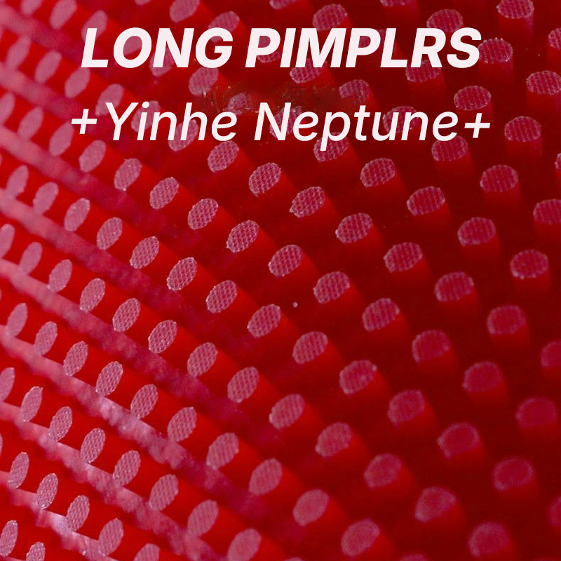 YINHE NEPTUNE Guma do tenisa s – Table Tennis Xiom Rubber recenzja i cena